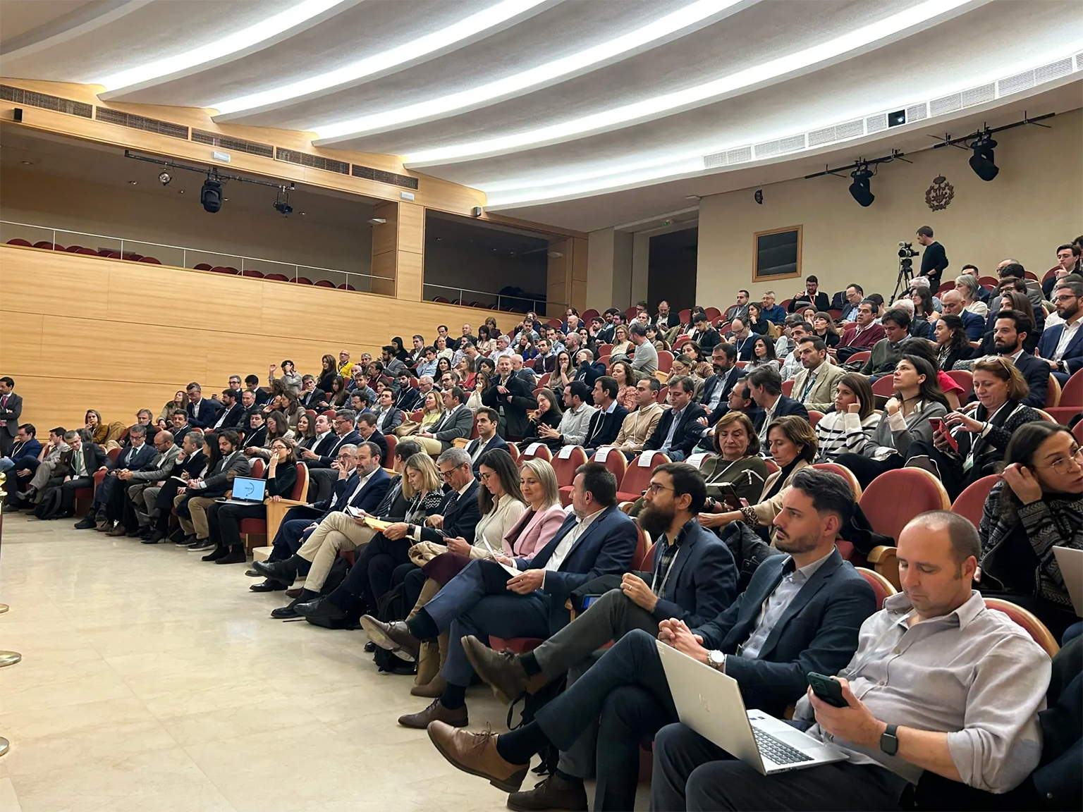 alianza-q-cero-decalogo-responsive